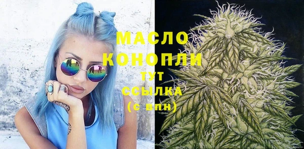 соль ск Михайлов
