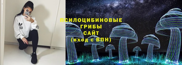 хмурый Алексеевка